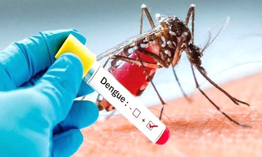 डेंगु संक्रमणबाट टेकु अस्पतालमा २४ वर्षीय युवकको मृत्यु