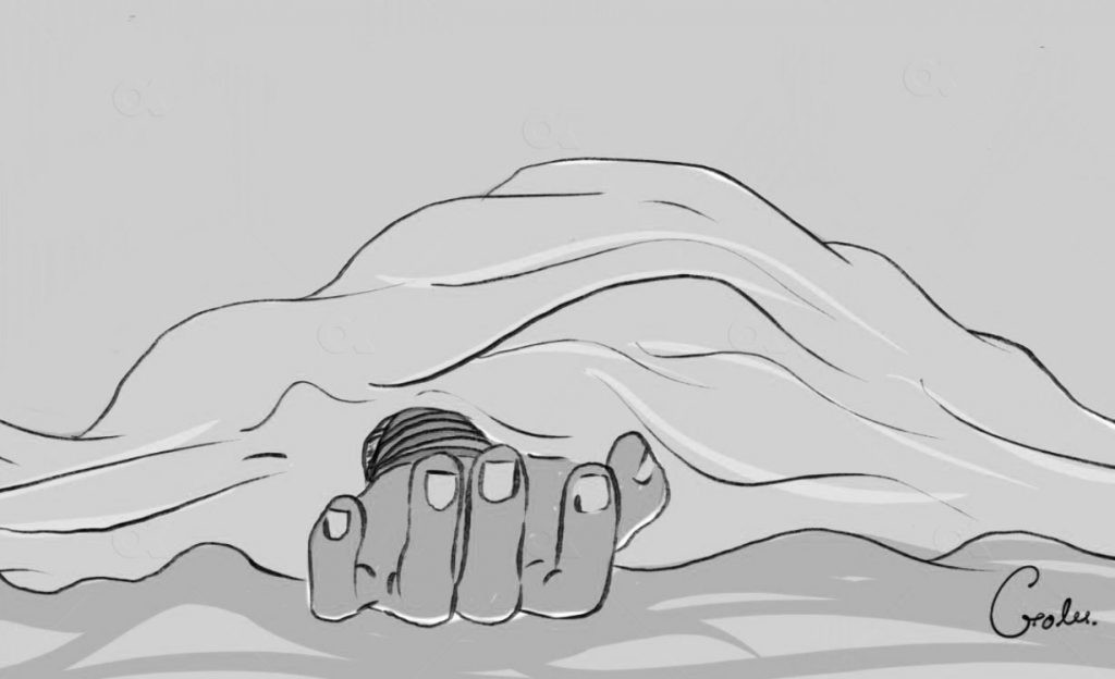 भालुको आक्रमणबाट १ जना महिला घाइते