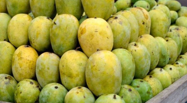कुन हो  मिठो आँप, कुन समयमा खाने ?
