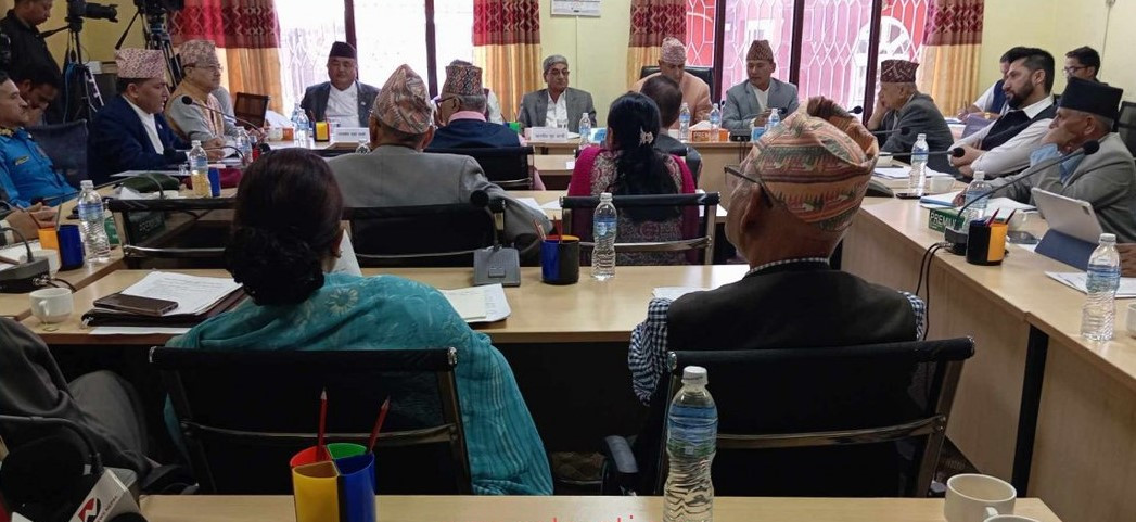 तीनकुने घटनामा सुरक्षाकर्मीमाथि गाडी गुडाउनेसम्मको प्रयास क्षम्य हुन सक्दैन : गृहमन्त्री