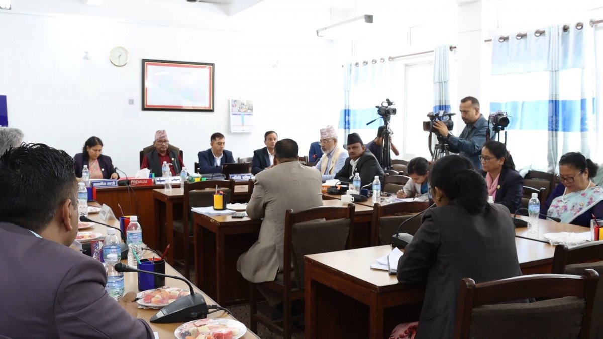 आज तीन संसदीय समितिको बैठक बस्दै, यस्ता छन् कार्यसूची