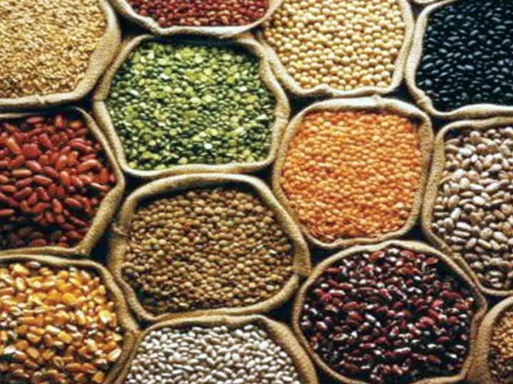 खाद्यान्नले पुस महिनाको मूल्य सूची गर्या सार्वजनिक