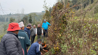 अन्न नउब्जने भिरालोमा ‘वनतरुल’ खेती