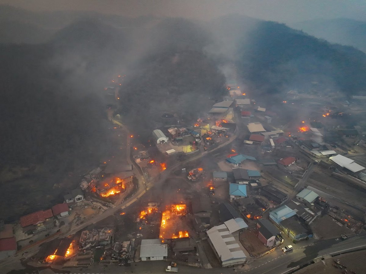 south-korea-forest-fire-(8)_2OdTqXmM9N.jpg