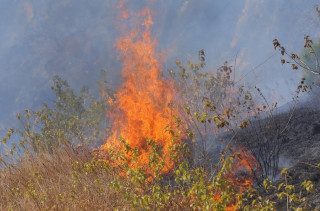 डढेलो नियन्त्रणका क्रममा हेलिकोप्टर दुर्घटना,  दुई जनाको मृत्यु