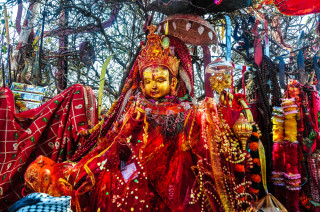 पाथीभरामा ३१ लाखभन्दा बढी भेटी सङ्कलन