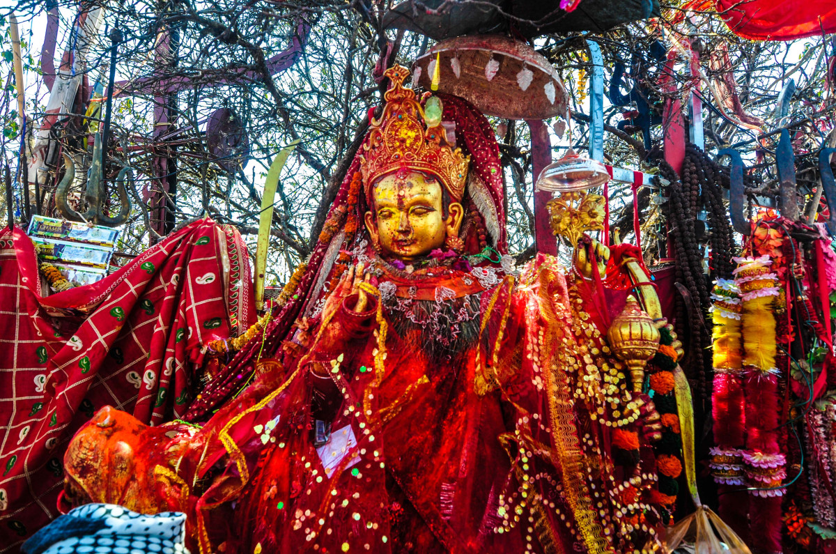 पाथीभरामा ३१ लाखभन्दा बढी भेटी सङ्कलन
