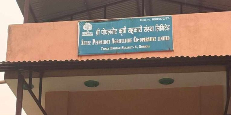 गोरखा बारपाक सुलिकोटको सहकारीबाट दुई लाख बढी रकम चोरी
