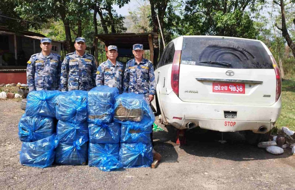 सशस्त्रलाई छलेर भागेको कार दुर्घटना, ४२१ किलो गाँजा बरामद
