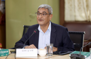 ‘भिजिट भिसा’ प्रकरणबारे गृहमन्त्री भन्छन् : दुई–चार दिनमा आफैँ बोल्छु