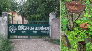 रौतहटमा तीव्र रूपमा बढ्दो काठ तस्करी, संरक्षणको सट्टा वन कार्यालय ‘कोठे बैठक’मै सीमित
