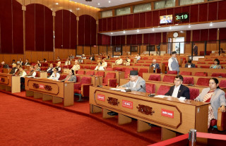 राष्ट्र ऋण उठाउने विधेयक राष्ट्रिय सभाबाट  बहुमतले पारित
