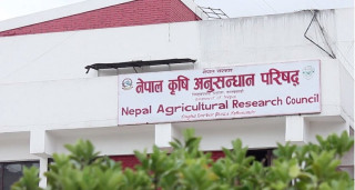 स्वीकृत दरबन्दीको आधा सङ्ख्यामा सञ्चालन हुँदै नार्क