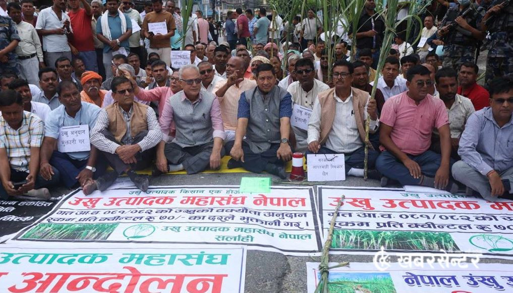 दूध किसानको आन्दोलन रोकियो, कात्तिक मसान्तसम्म भुक्तानीको सहमति