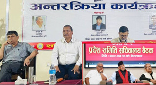 जनार्दन, घनश्याम र  विप्लवबीच निकटता बढ्दै, वैकल्पिक कम्युनिस्ट शक्तिको बहस चर्काउँदै