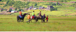 ढोरपाटनमा पर्यटक बढेपछि घोडा व्यवसाय फस्टाउँदै