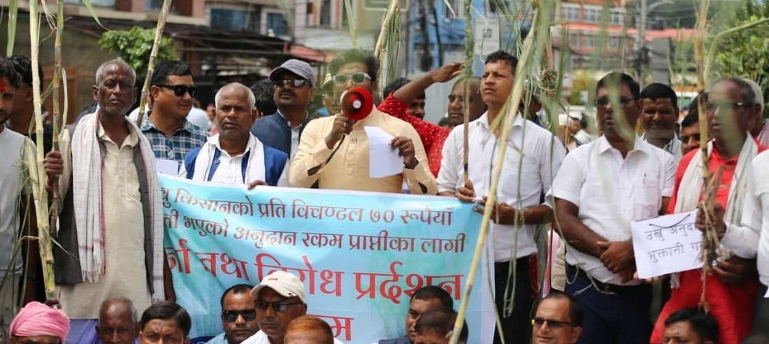 उखु किसानले अनुदान रकम प्राप्त गर्न थाले