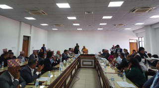 १२५ दलका प्रतिनिधि र प्रधानमन्त्रीबिच सिंहदरबारमा छलफल