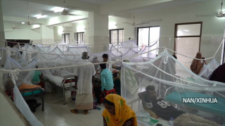 बंगलादेशमा २०२५ मा डेंगु ज्वरोबाट मृत्यु हुनेको संख्या २१५ पुग्यो
