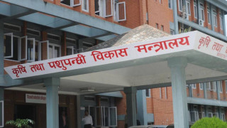 सरकारले तोक्यो सार्वजनिक खाद्य विश्लेषक (सूचिसहित)