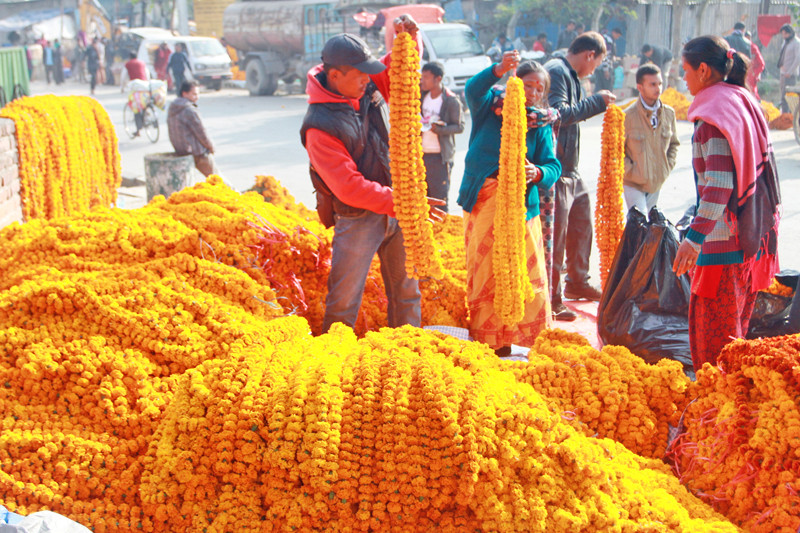 तिहारमा फूल बिक्री गर्न काठमाडौं महानगरले तोक्यो ३२ स्थान