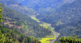 चिंगाड खोला र धानबाली
