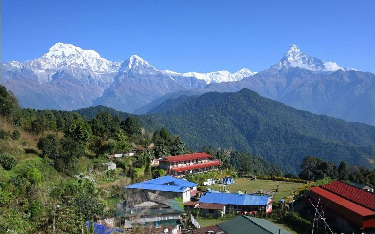 photo2.JPG