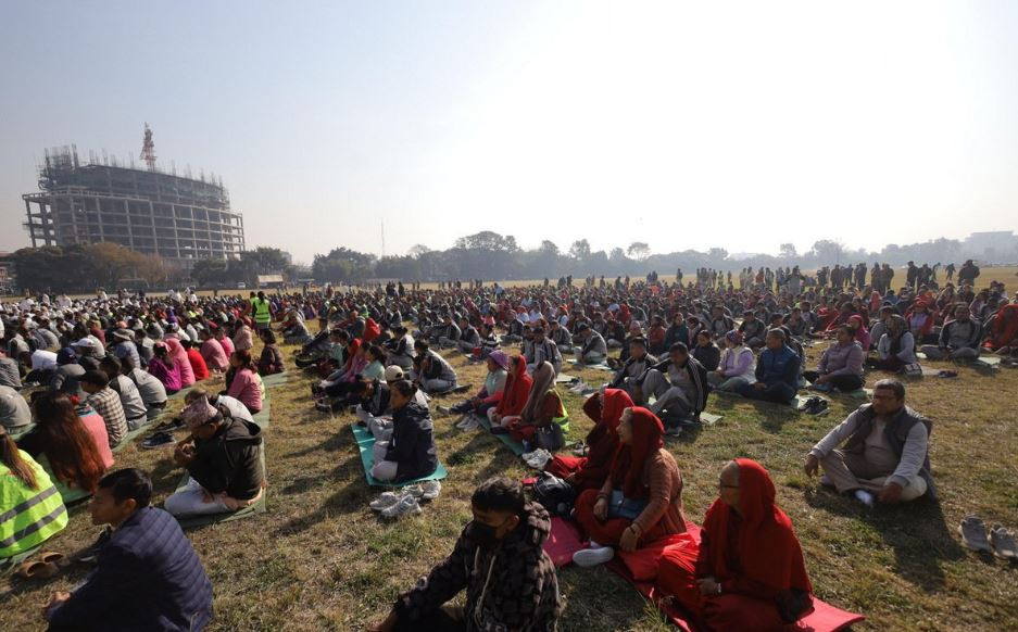 dhan1.JPG