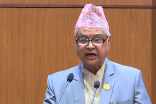 काँग्रेस सांसद मिश्रको प्रश्नः संसारका लागि हात्ती र बाघ पाल्दा नेपालले के पाउँछ ?