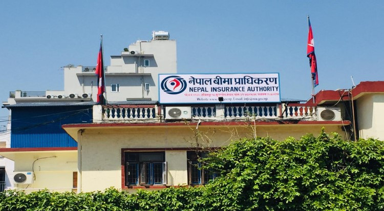 बीमा प्राधिकरणको सञ्चालकमा सुमन दाहाल