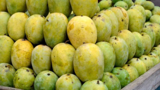 आज मालदह आँप प्रतिकिलो १६०, कति छ अरू तरकारी र फलफूलको मूल्य ?
