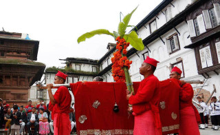 नवरात्रको सातौँ दिन : कालरात्रि देवीको पूजा गरी फूलपाती भित्र्याइँदै